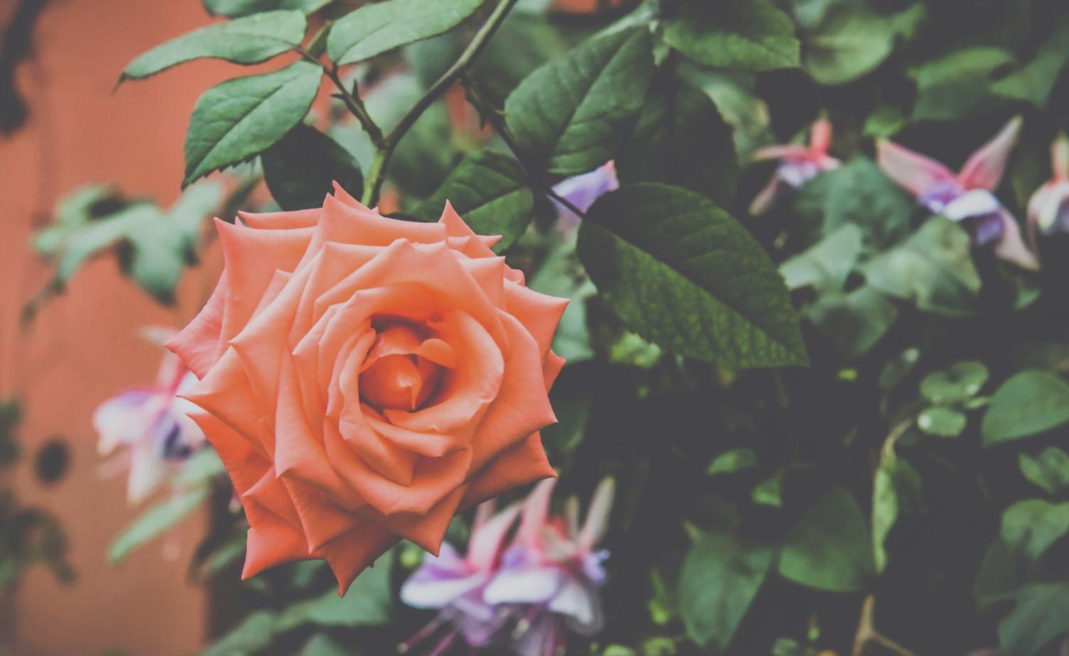 Flourisx mobil çiçek servisi etkinlik hazırlığı