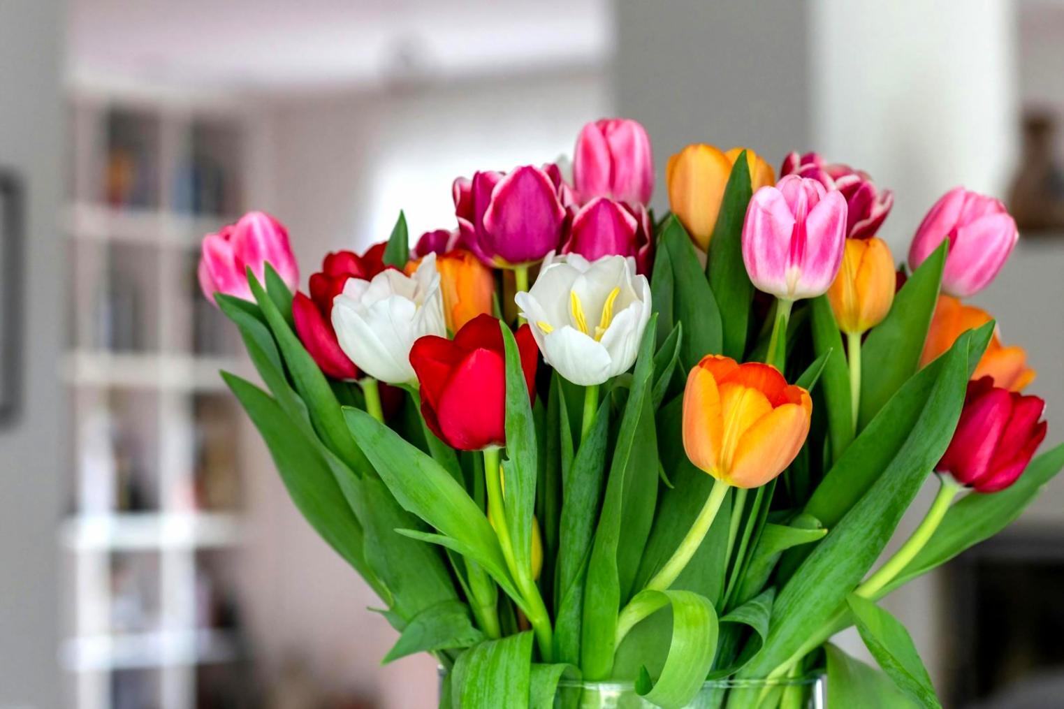 Flourisx etkinlik çiçek düzenlemesi detayları